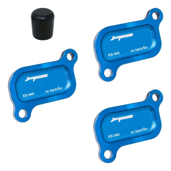 Couvercle éliminateur de système PAIR pour Triumph Tiger 1200