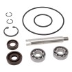 Jetprime Kit de réparation de pompe à eau