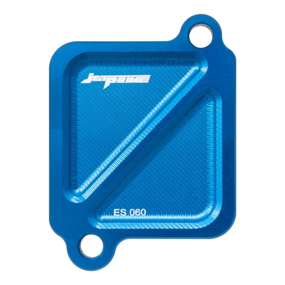 PAIR system eliminator cover for Triumph Trident 800