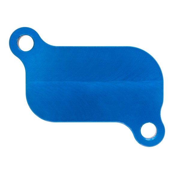 PAIR system eliminator cover for Triumph Trident 800