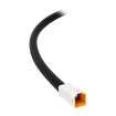 Pulsantiera aggiuntiva Racing per comando gas rapido per Ducati Monster 821 (Titanio)